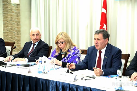 Bakıda “Erməni soyqırımı” real tarix, yaxud tarixin yalanı” mövzusunda konfrans keçirilib