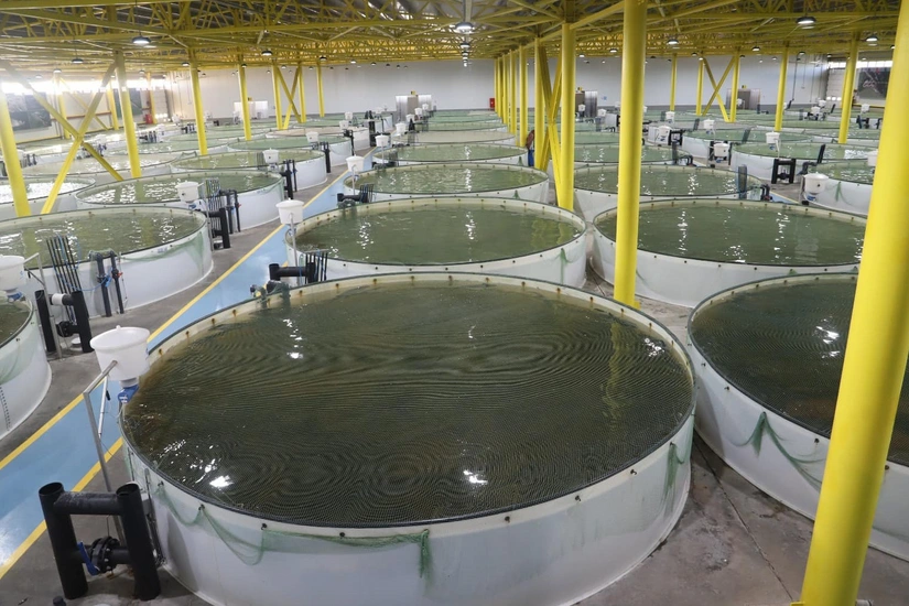 Balıqçılıq və Akvakultura Mərkəzi yaradılıb