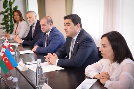 Спикер парламента Грузии обсудил с делегацией ММ развитие межпарламентских связей