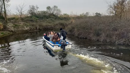 Flamingo Festival celebrates biodiversity in Azerbaijan's Gyzylagach National Park