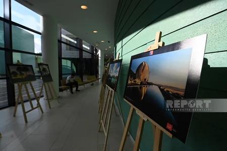Bakıda Çiliyə həsr olunmuş fotosərginin açılışı olub