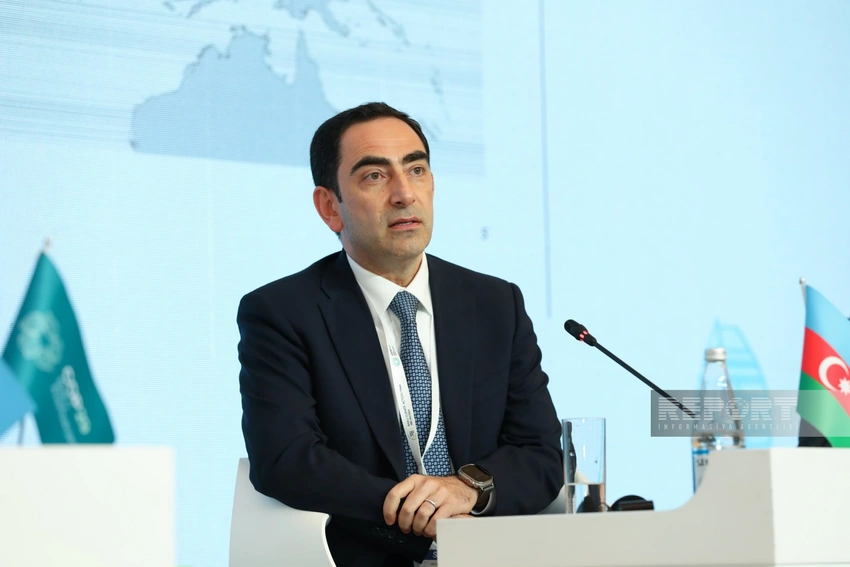 Taleh Ziyadov: Azərbaycan Çindən Avropayadək “yaşıl dəhliz”in yaradılması təşəbbüsü ilə çıxış edir