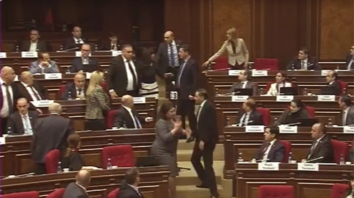 MPs fight in Armenian parliament- VIDEO