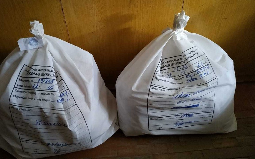 Astarada narkotik becərən 3 qonşu tutuldu