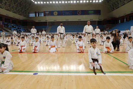 Karate üzrə ümumrespublika seminarı keçirilib