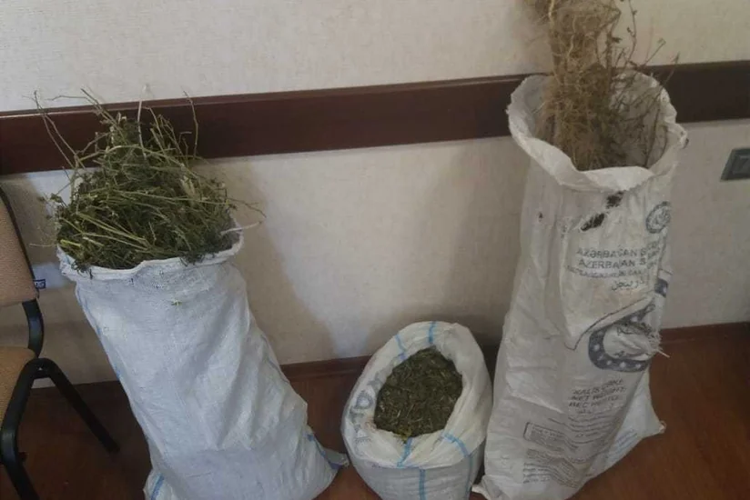 Külli miqdarda narkotik maddə dövriyyədən çıxarılıb - FOTO