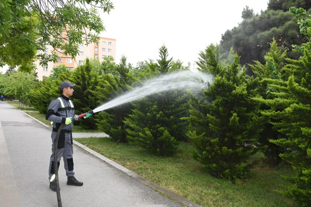Bakıda növbəti ümumşəhər iməcliyi keçirilib - YENİLƏNİB