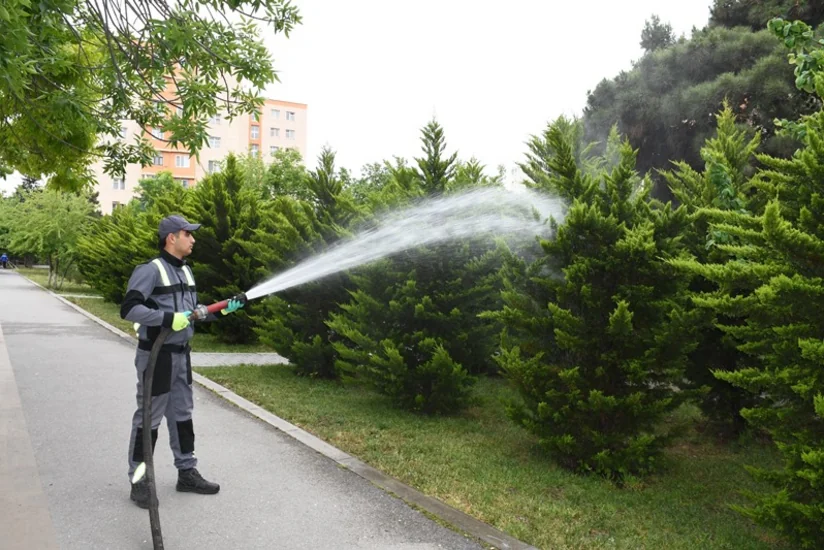 Bakıda növbəti ümumşəhər iməcliyi keçirilib - YENİLƏNİB