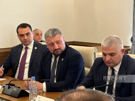 Gürcüstan Parlamentinin sədri: Azərbaycan bizə dəstəyi əməldə göstərib