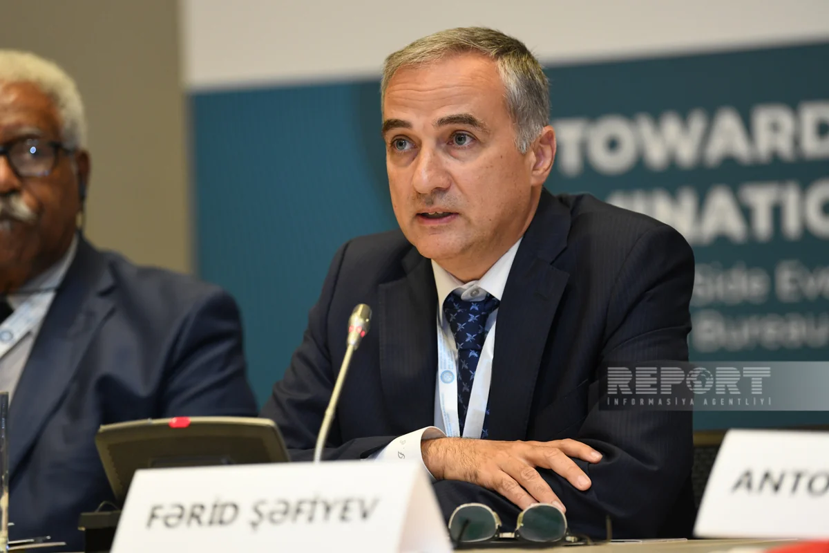 Farid Shafiyev: France does not have the privilege of discussing the problems of others without allowing its own problems to be discussed 