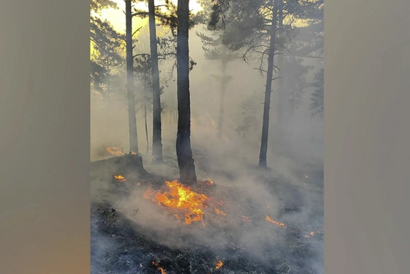 Çanaqqalada meşə yanğını olub