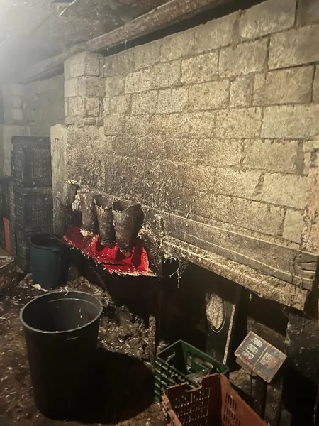 Masallıda toyuq kəsim sexinin işi məhdudlaşdırılıb
