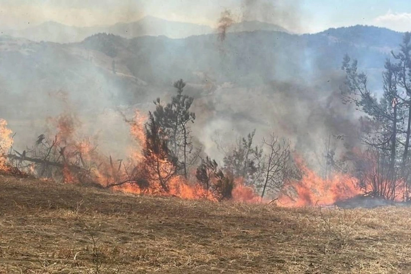 Cəlilabadda yanğın törədən şəxs məsuliyyətə cəlb olunub