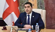 Papuaşvili Aİ səfirinə: Avropa maliyyəsi zorakılığa yönəlməməlidir