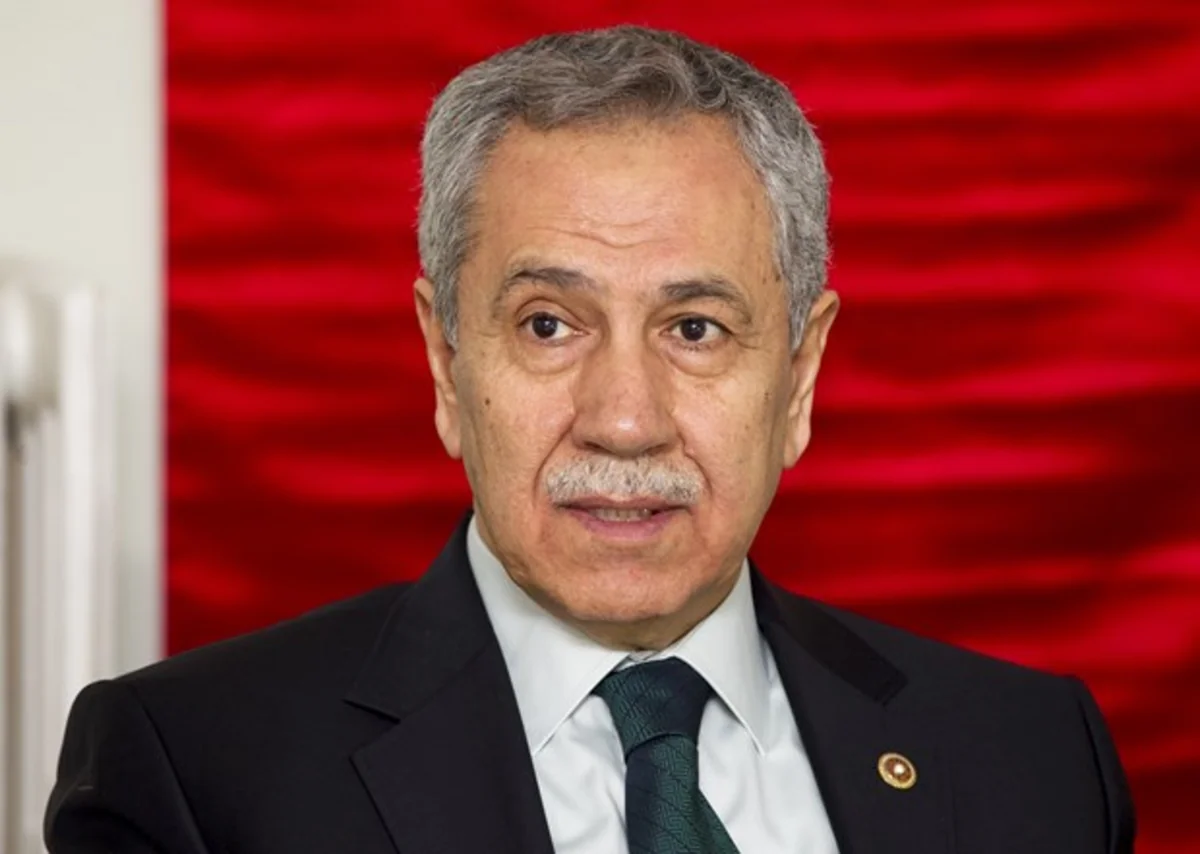 Bülǝnt Arınç: Türkiyə Misirdə demokratiya və xalq iradəsinin tǝrǝfdarıdır