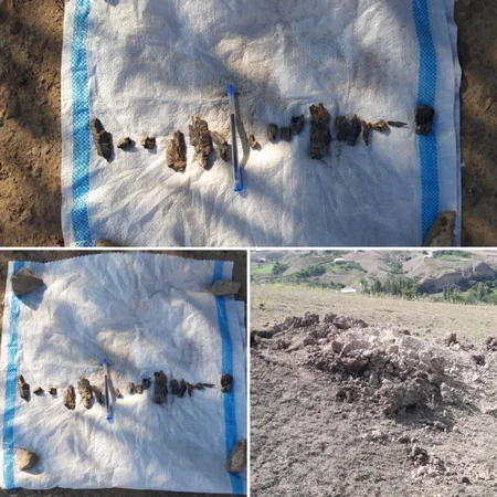 ANAMA Tovuzda 3 evin həyətini mərmilərdən təmizlədi