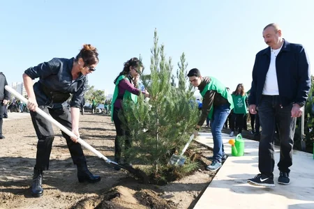 President Ilham Aliyev and first lady Mehriban Aliyeva attended tree-planting campaign in Khatai district, Baku