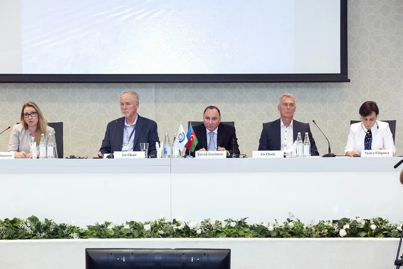 Bakıda ÜGT-nin qeyri-intruziv yoxlama üzrə Ekspertlər Qrupunun 5-ci iclası keçirilir
