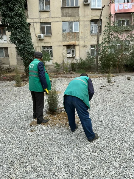 Ağacları kəsərək avtodayanacaq salmaq istəyən şirkətlə bağlı sənədlər Baş Prokurorluğa göndərilib