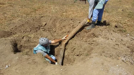 Ağdamda və Füzulidə 2 ədəd partlamamış hərbi sursat aşkarlanıb