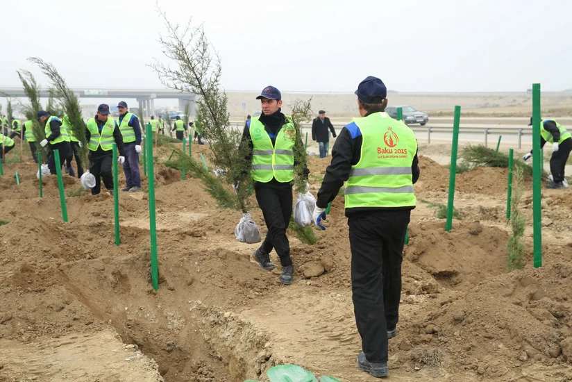 ​Ötən il Azərbaycanda 4 milyondan çox ağac əkilib
