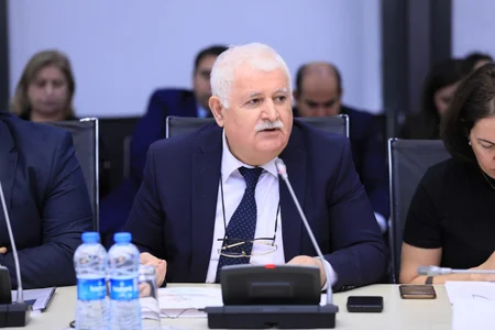 Qarabağ və Şərqi Zəngəzura qayıdışla bağlı konsepsiya sənədi təqdim olunub