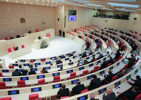 Extraordinary meeting of Georgian parliament starts, opposition expelled from hall