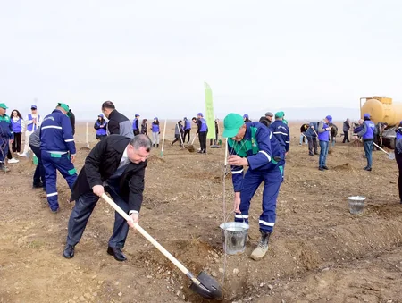 Naxçıvanda “Heydər Əliyev ili”nə töhfə olaraq növbəti ağacəkmə aksiyası keçirilib