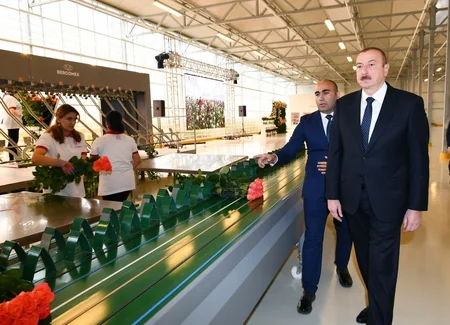 Prezident Qəbələdə gülçülük istixanası ilə tanış olub - YENİLƏNİB
