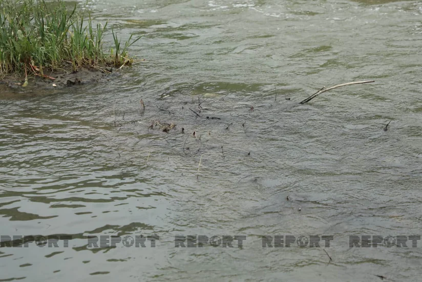 Oxçuçayın su keyfiyyətinə nəzarətin fasiləsiz olmasının detalları açıqlanıb