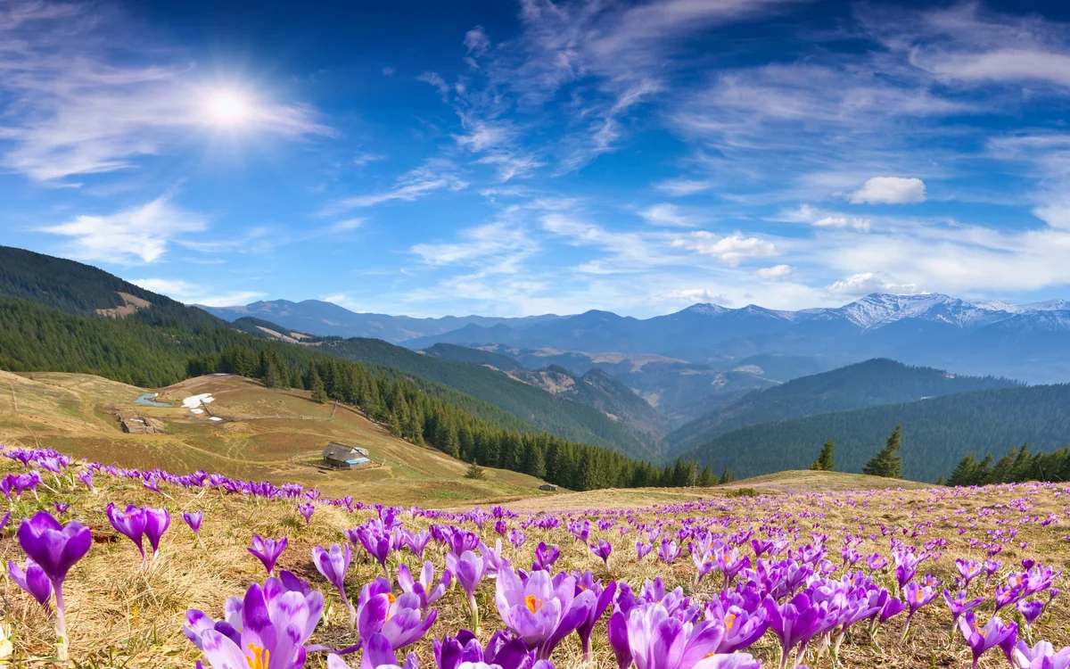 May ayının hava proqnozu açıqlandı
