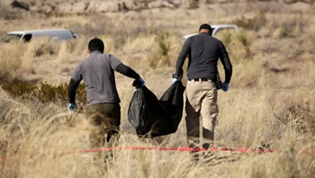 Mexican police find 65 bodies in clandestine grave 