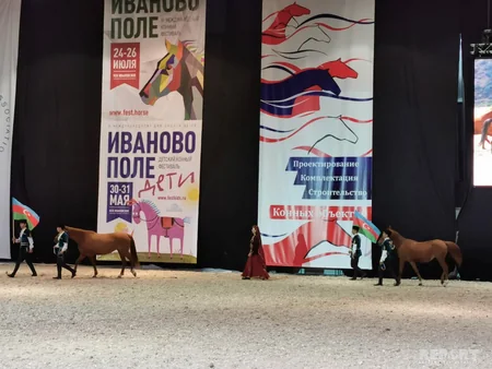 Qarabağ atları Moskvada beynəlxalq sərgidə nümayiş olunur