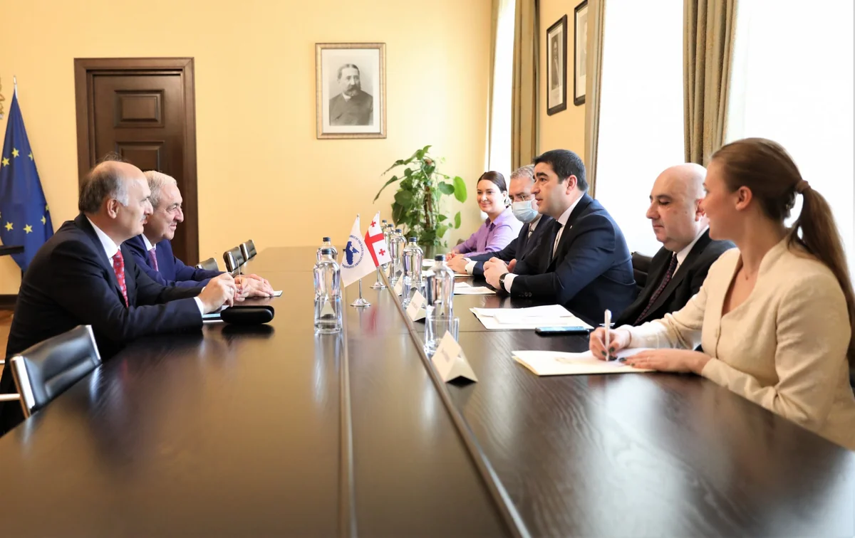 Asəf Hacıyev Gürcüstan parlamentinin sədri ilə Ukraynanı müzakirə edib