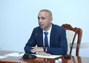 Солтанов: Зеленый энергопереход Карабаха и Восточного Зангезура может стать примером для мира