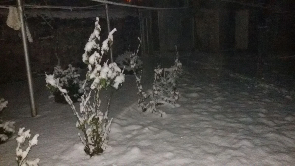 Qax rayonunun dağ kəndləri Yeni il ərəfəsində ağ örpəyə bürünüb - FOTO