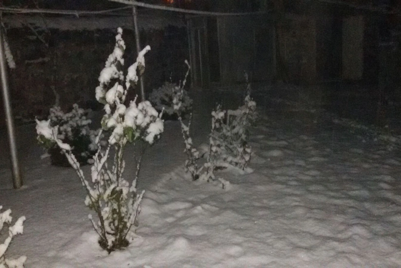 Qax rayonunun dağ kəndləri Yeni il ərəfəsində ağ örpəyə bürünüb - FOTO