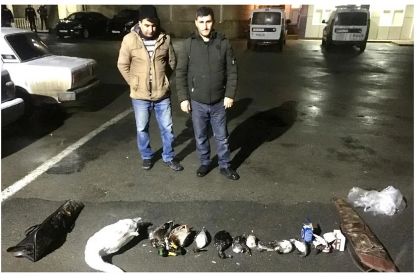 Şabranda qanunsuz ov edən şəxslər saxlanıldı