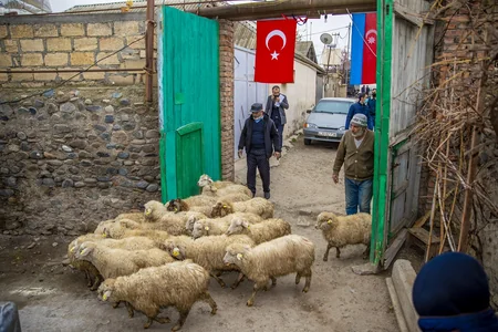 700-dən çox münaqişədən zərər çəkən özünüməşğulluq proqramına cəlb edilib