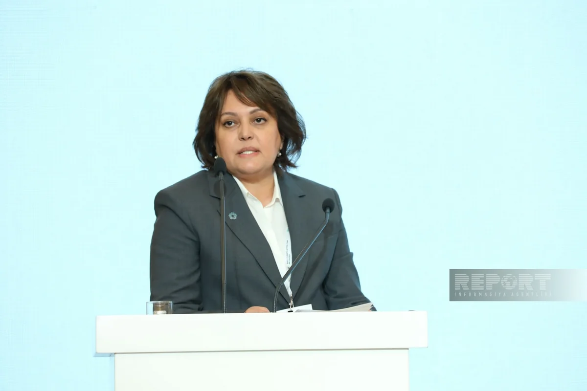 Umayra Tagiyeva: Azerbaijan will continue to strengthen climate ambitions within COP29 presidency