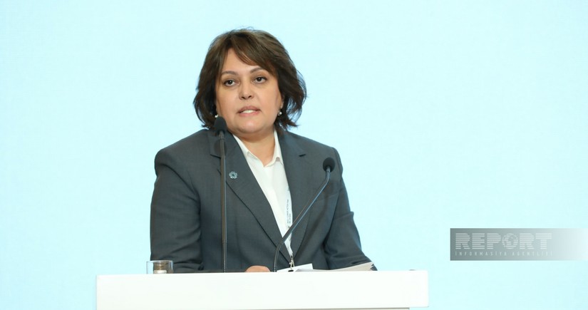 Umayra Tağıyeva: Azərbaycan COP29 sədrliyində iqlim ambisiyalarını gücləndirməyə davam edəcək