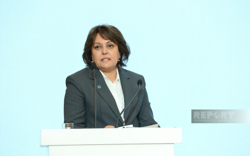 Umayra Tağıyeva: İstilik dalğaları Bakıda 1990-cı illərlə müqayisədə 14 dəfə artıb