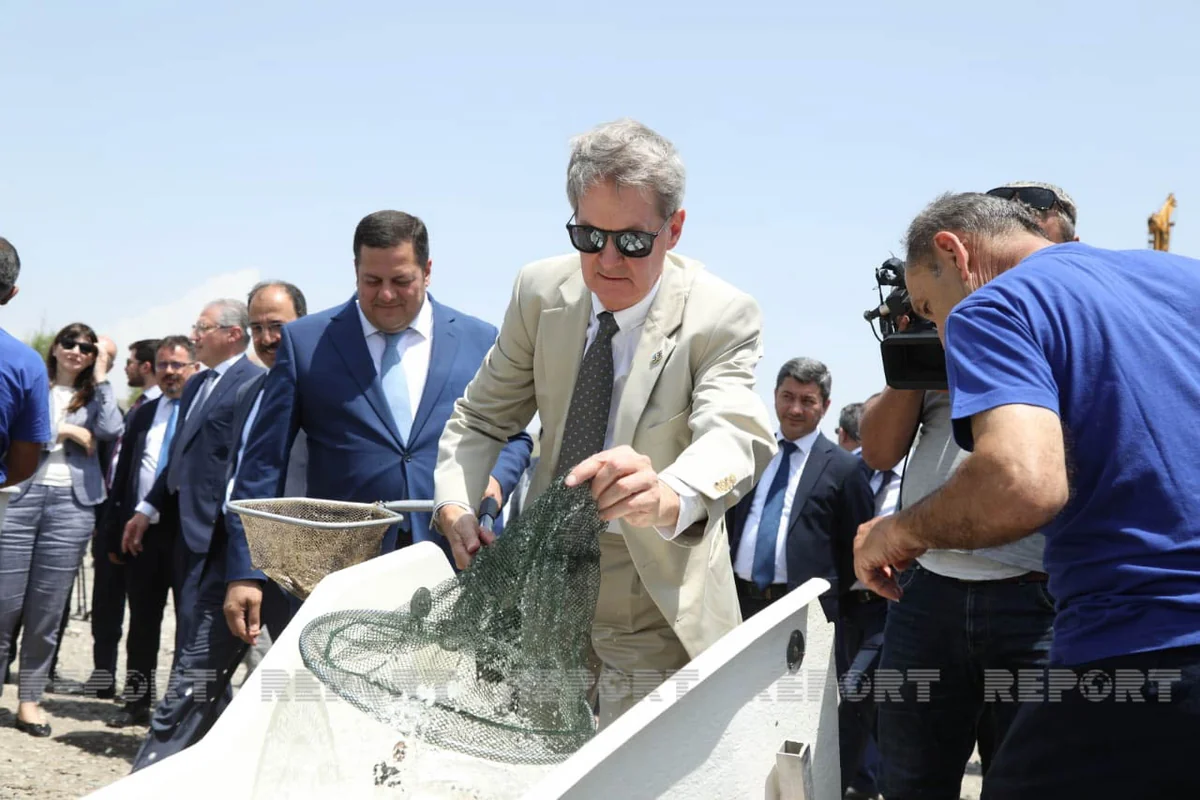 Diplomats, international experts release trouts into Hakari River