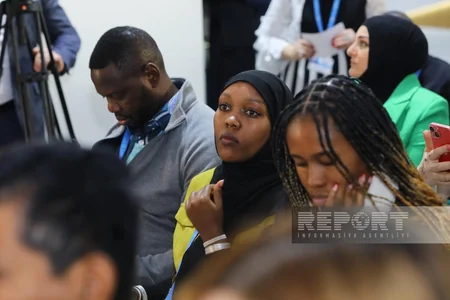 Seminar on renewable energy implementation held at COP29 National NGO Forum Pavilion