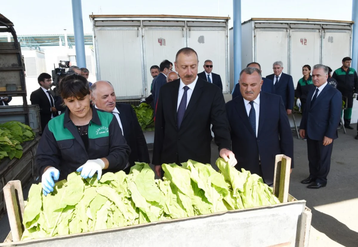 President Ilham Aliyev views tobacco reception center in Gakh district