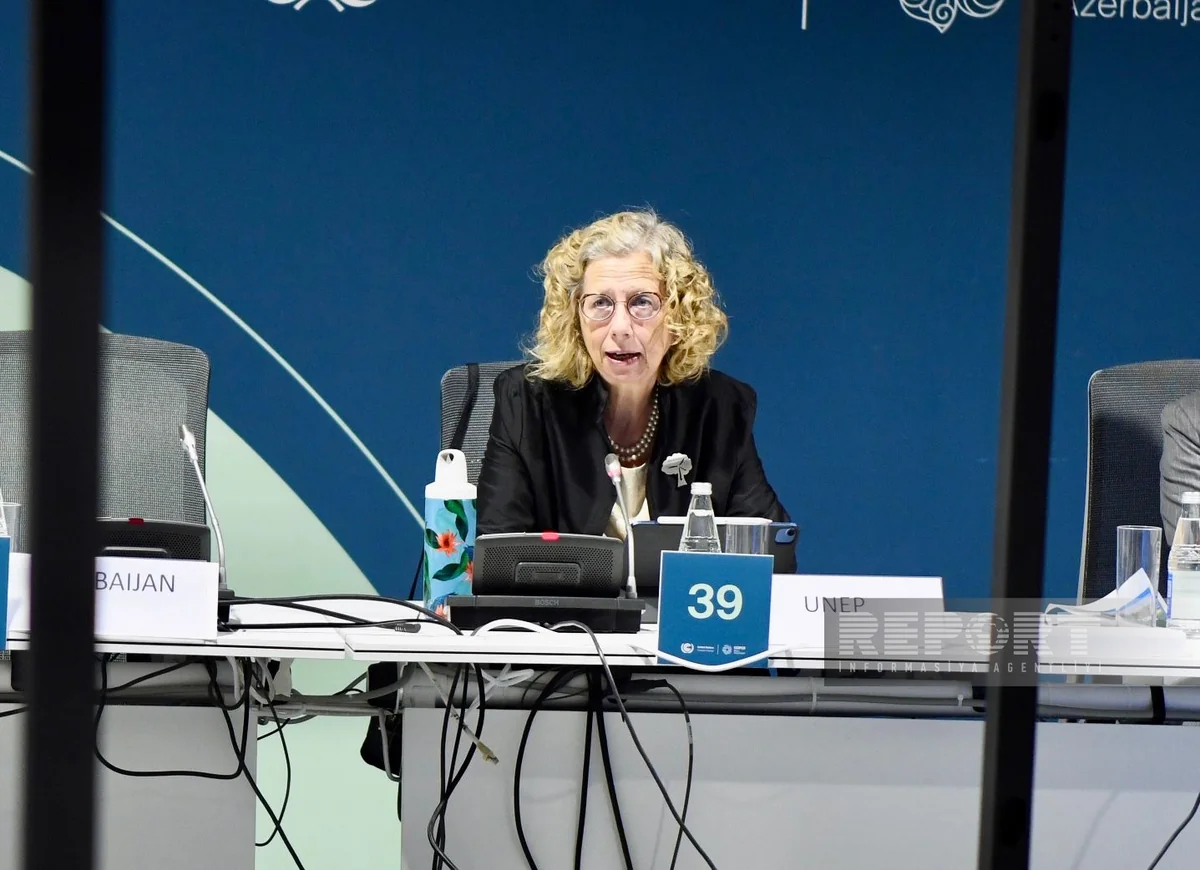 UN: Energy efficiency, climate resilience of buildings should be under focus