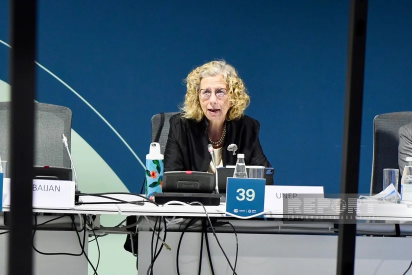 İnger Anderson: Binalarda enerji səmərəliliyinə və iqlimədavamlılığa diqqət yetirilməlidir