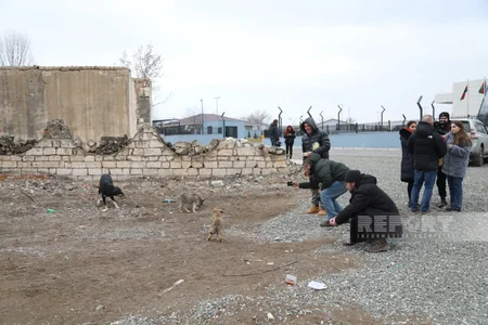 Beynəlxalq səyahətçilər Ağdamda səfərdədirlər