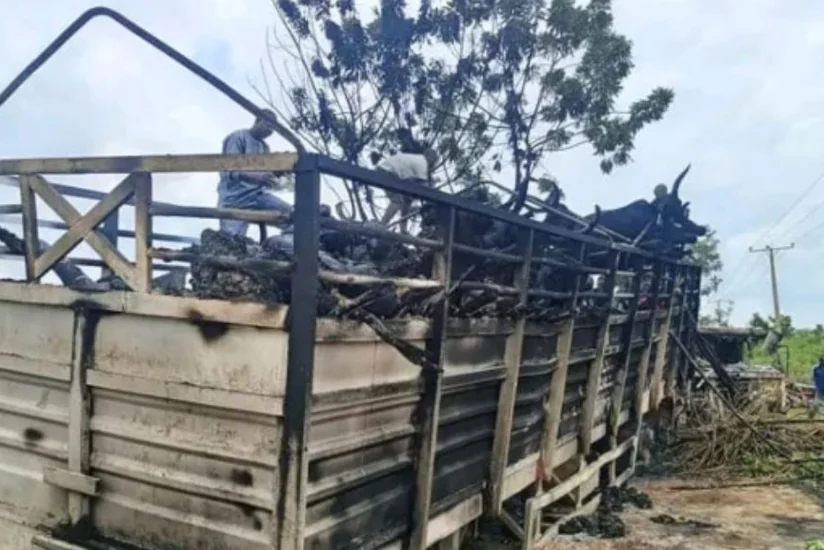 Nigeriyada azı 48 nəfər yol qəzasında yanaraq ölüb