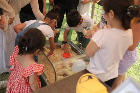 Şamaxıda Hava Şarları Festivalı davam edir